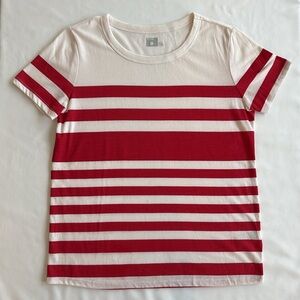 Urban Outfitters (BDG) striped tee shirt (size L)